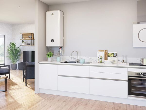 THERMOR - SCGA CGA30049 THERMOR, Eau Malicio 3 231070 80 litres, Temps de Chauffe : 3 h 32 Min. Tension : 230 Mono, lxHxp : 490 mmx1300 mmx290 mm. Poids : 37,5 kg. Idéal pour 1 Adulte et 1 Enfant