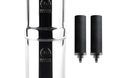 Test du système de filtration Phoenix Gravity 6L en acier inoxydable