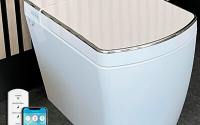 Test des toilettes japonaises VOGO SL620 : confort et innovation