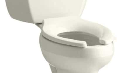 Test du WC Kohler Wellworth K-3505-96 : performance et design biscuit