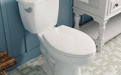 Test : toilettes DeerValley 45, 5 cm haute efficacité