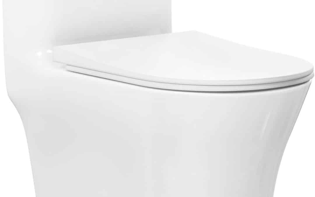 Test : wc monobloc Swiss Madison Cascade à double chasse d'eau