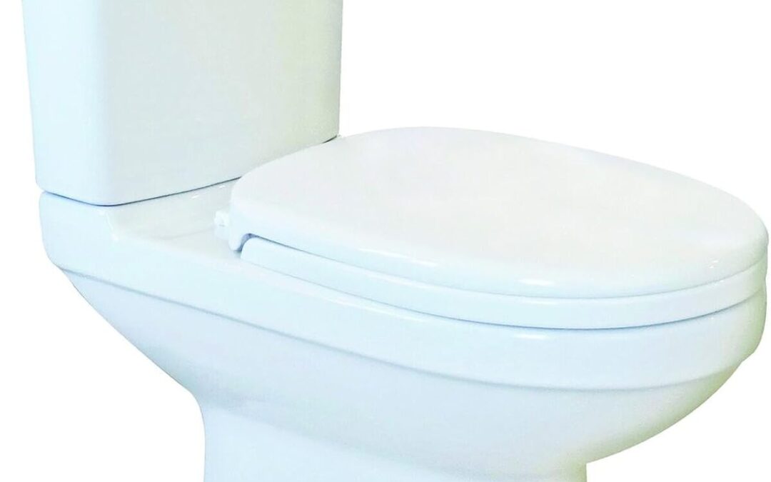 Test du pack WC ONDÉE CLAIN : cuvette compacte et fonctionnelle