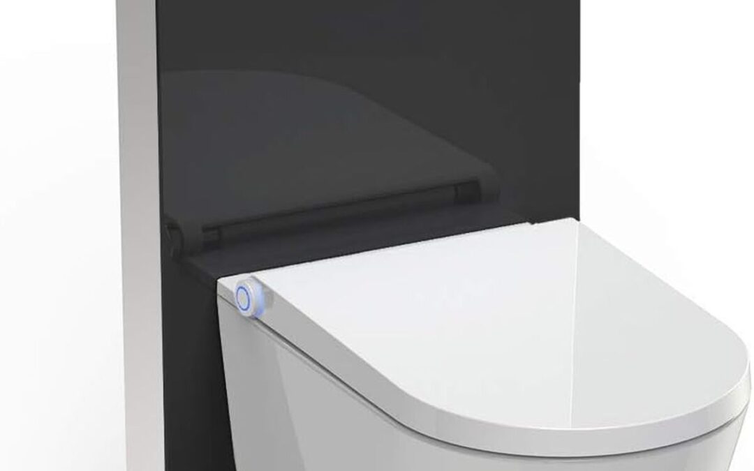 Test de l'ensemble WC japonais lavant basic 1102