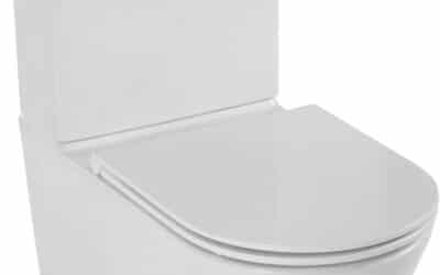 Test du pack WC Rodin+ Jacob Delafon : performance et รฉconomie d’eau