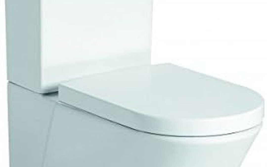 Test du WC à poser CT1099 : arrivée d'eau en haut et abattant Soft-Close