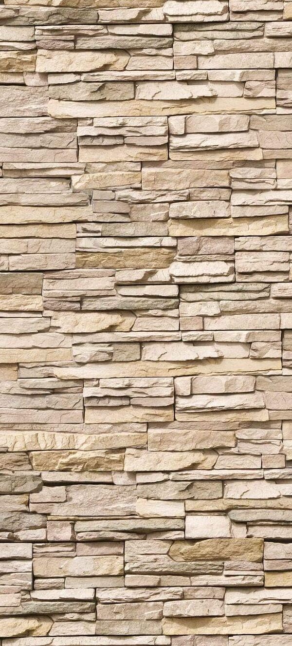 Schulte lot 2 panneaux muraux 100 x h.210 cm + 3 profilés (2x finition, 1x angle intérieur), revêtement salle de bain douche, épaisseur 3 mm, parement clair, livré avec adhésif double face