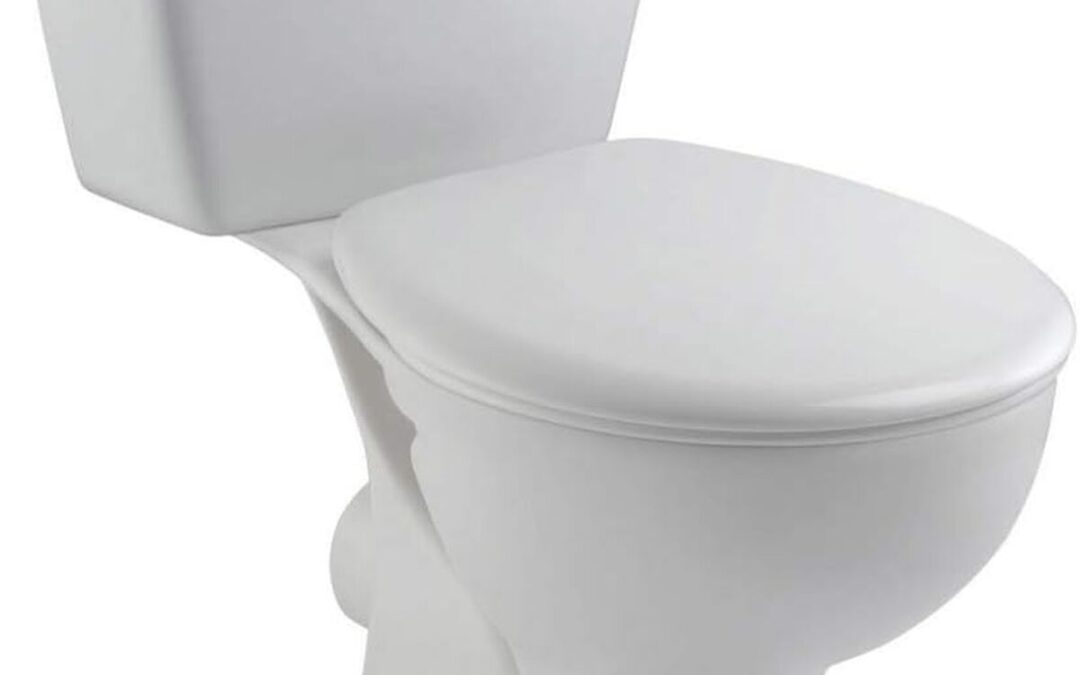 Test du WC Jacob Delafon Eolia : l'installation facile et pratique