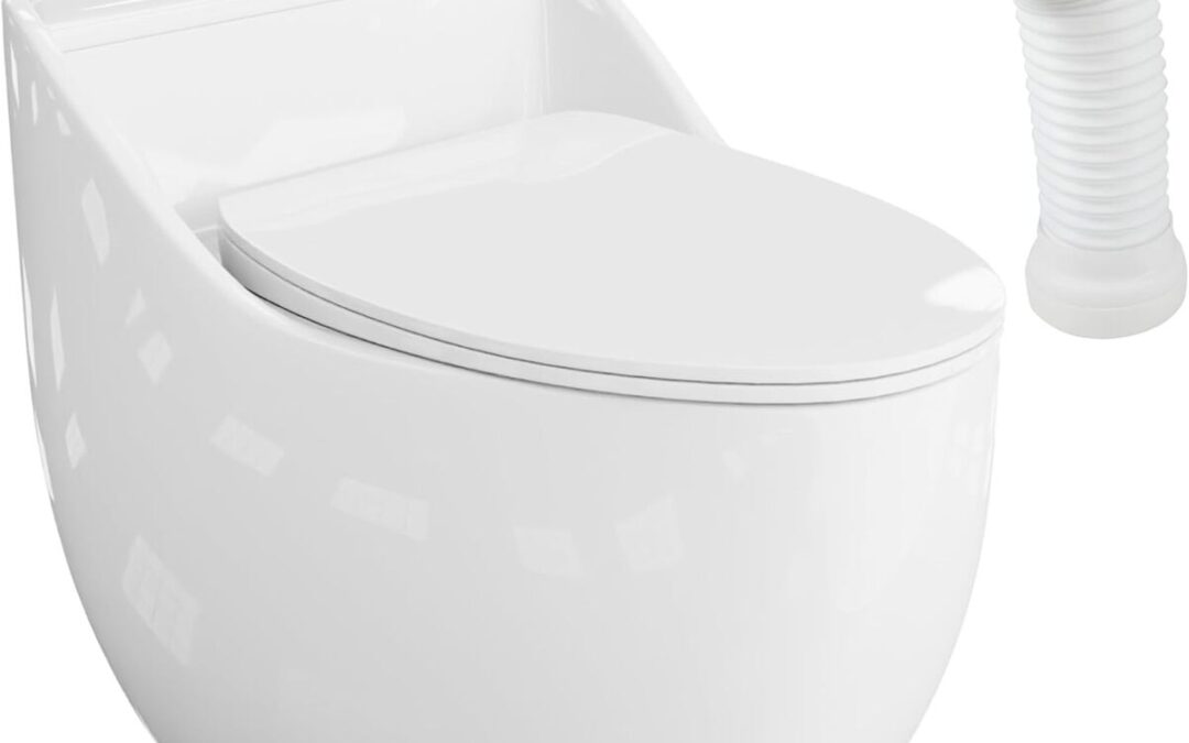 Test du WC Lavita : montage au sol blanc en plastique