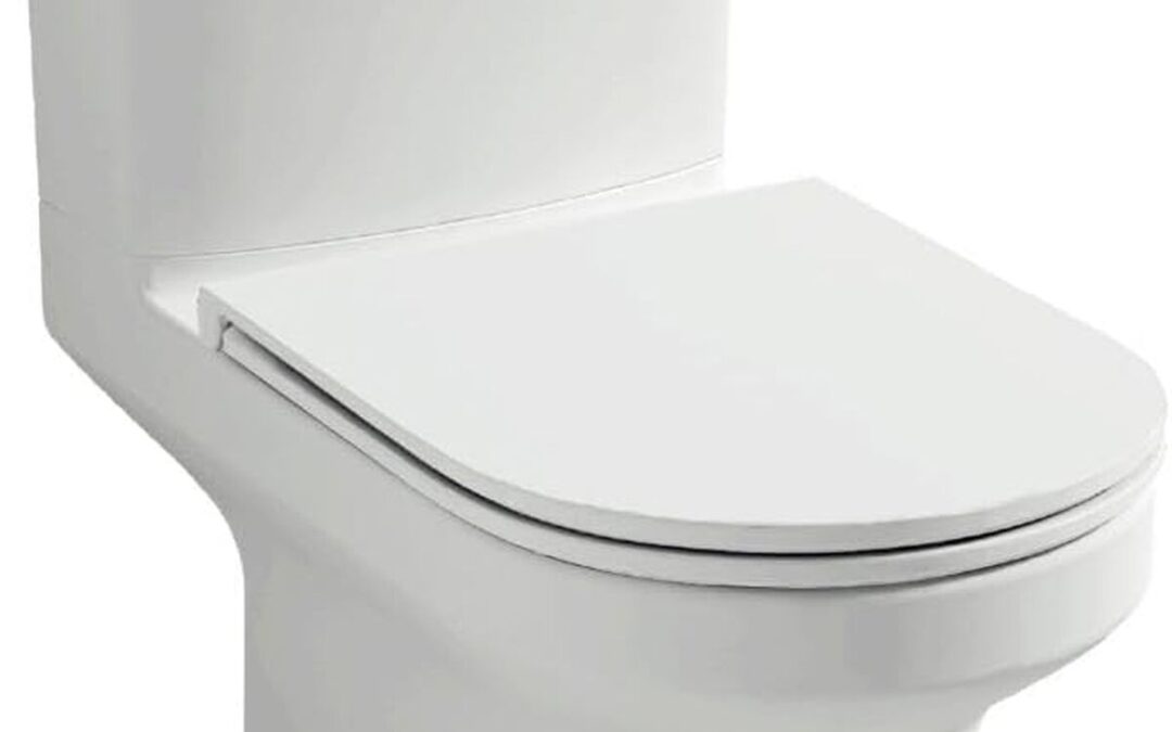 Test : wC Jacob Delafon Elite sans bride avec abattant extraplat