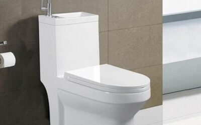 Test : wC Rue Du Bain Creativ avec lave-mains intégré