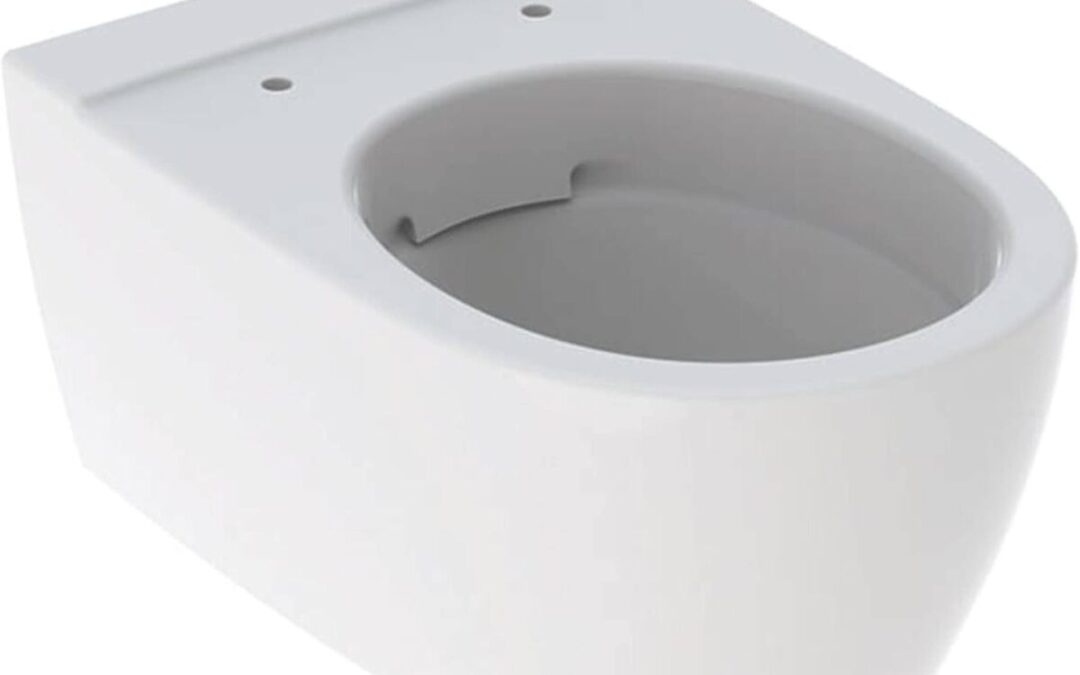 Test : cuvette murale Keramag Icon 6 l blanche
