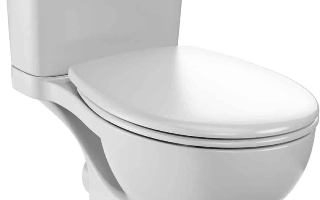 Test du WC jacob delafon gaspard sans bride : innovation et économie d'eau