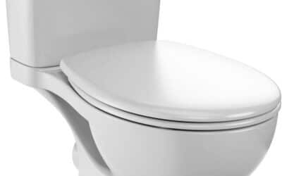Test du WC jacob delafon gaspard sans bride : innovation et économie d&rsquo;eau