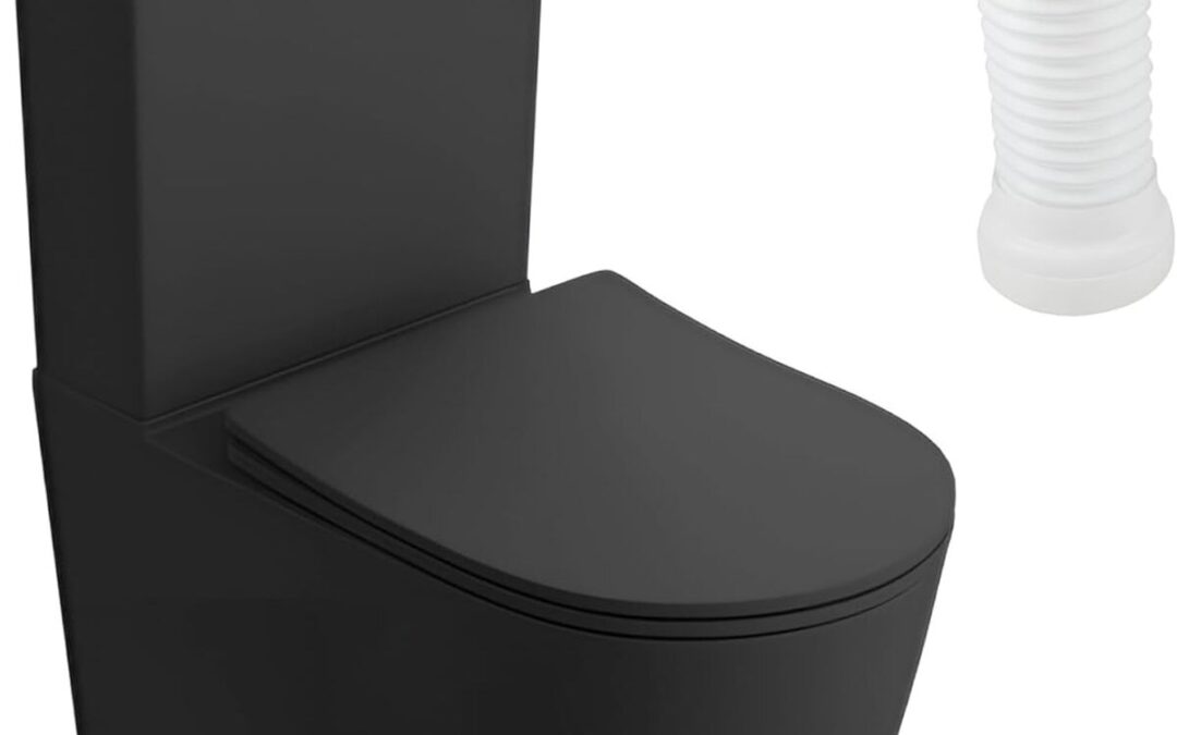 Test du WC monobloc Nautilius Black de Lavita : design et fonctionnalités innovants