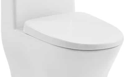 Test du WC Swiss Madison Sublime II