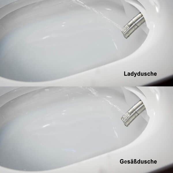 BERNSTEIN - Toilettes japonais céramique Blanc brillant, WC japonais lavant LED + télécommande, séchoir air chaud, filtre odeurs, Rinçage 180° - Garantie 5 ans - 59,3x38,4x38cm - Pro+1102