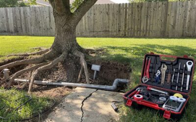 Protรฉger les canalisations des racines d’arbres : solutions efficaces