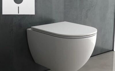 Test du WC Alpenberger : bidet intégré et isolation acoustique