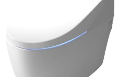 Test : toilette japonaise monobloc Luxe Platinium 2 Plus TopToilet