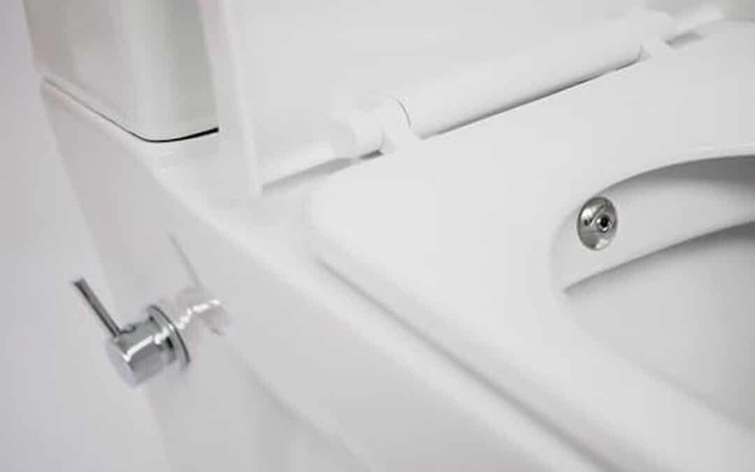 Test : wC lavant Safran, installation facile