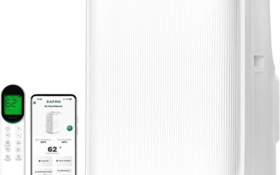 Test du climatiseur portable ZAFRO : puissance, silence et contrôle intelligent