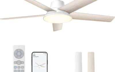 Test du ventilateur de plafond DREO : puissance et contrôle intelligent